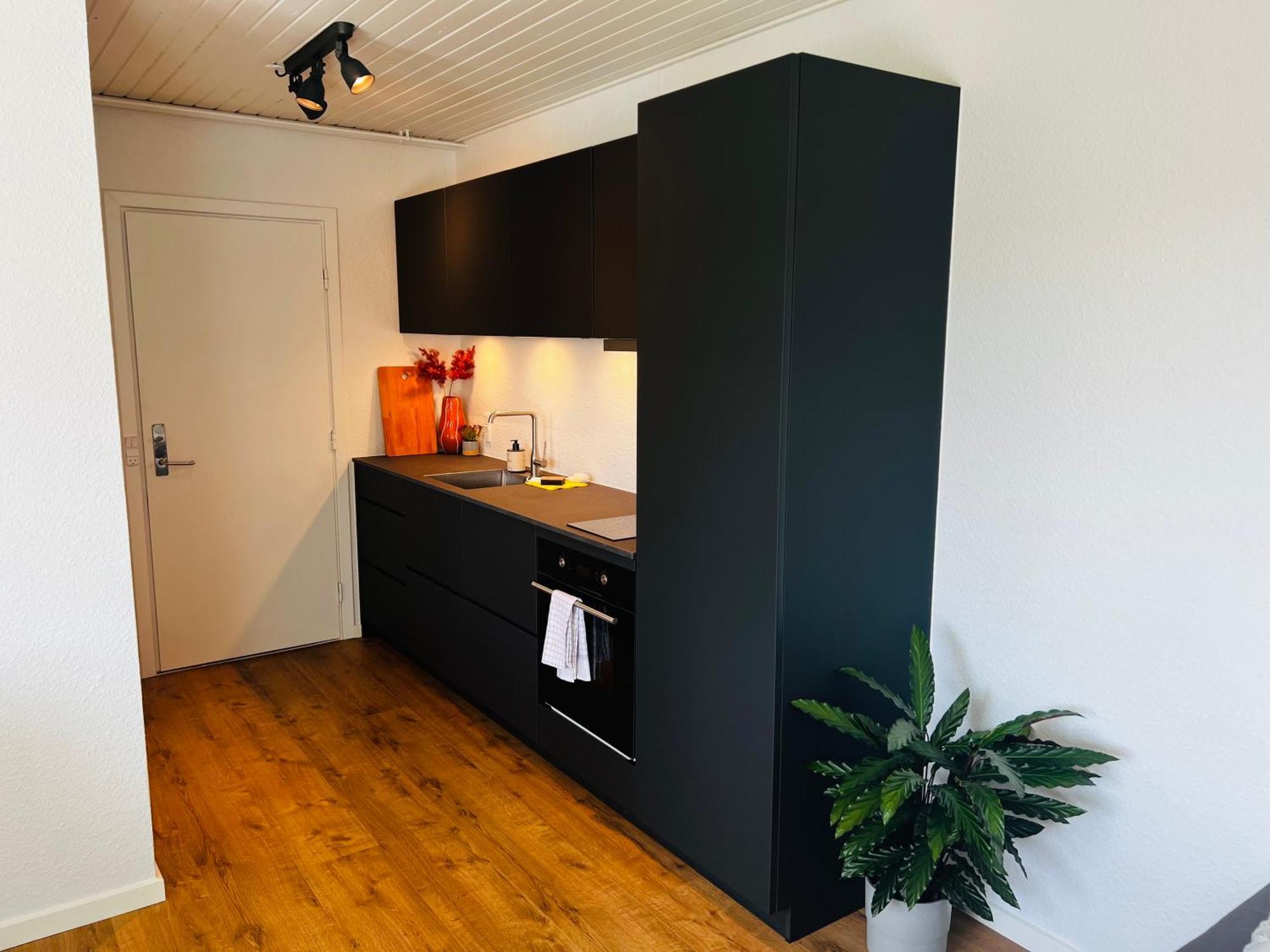 Cozy Flats Silkeborg - 1Th Leilighet Eksteriør bilde